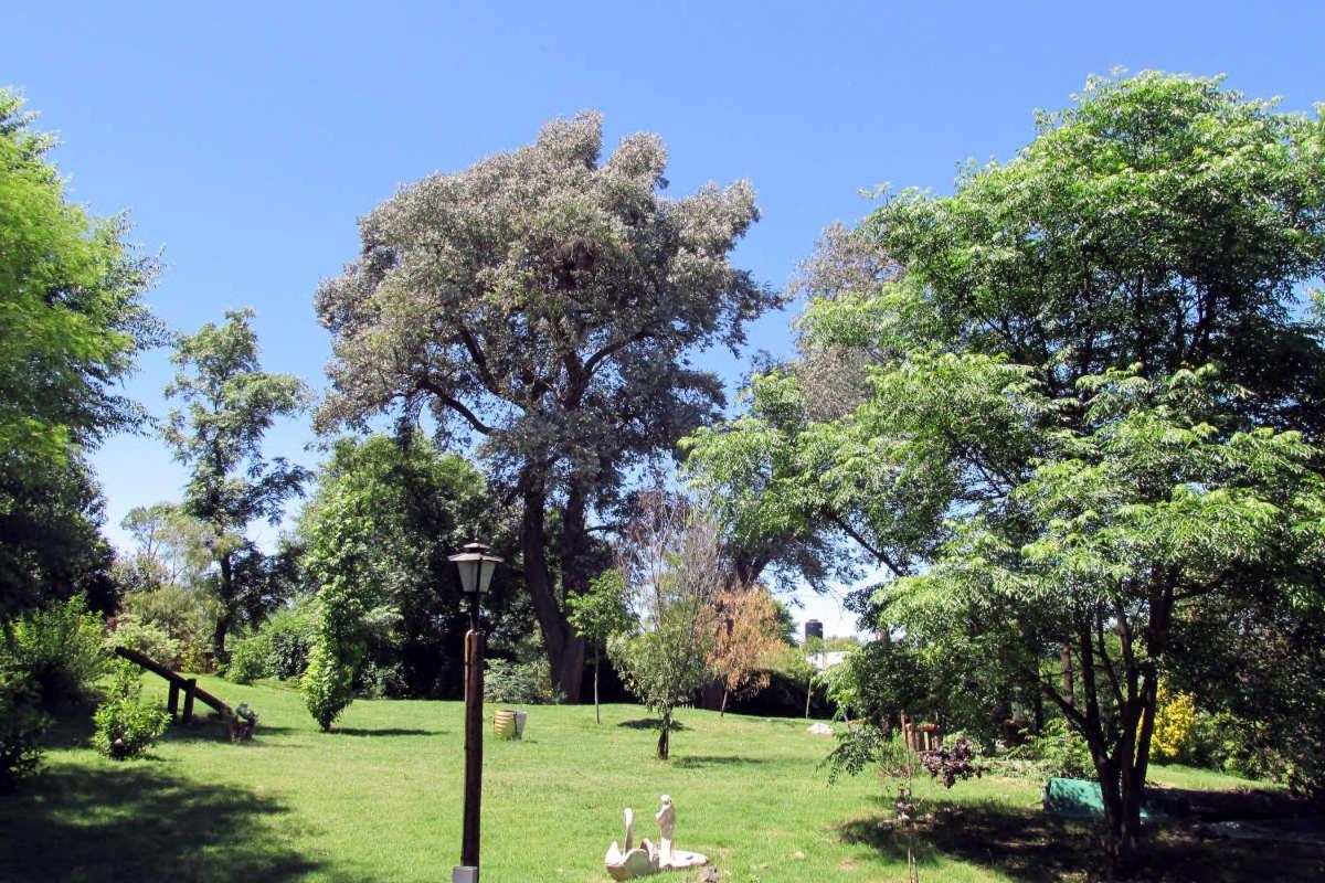 Hotel Luna Cautiva Casa De Campo Santa Rosa de Calamuchita Zewnętrze zdjęcie